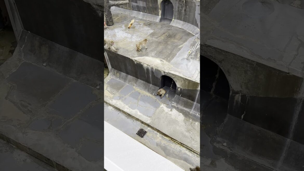 Hakodate Tropical Botanical Garden 2024.11.17