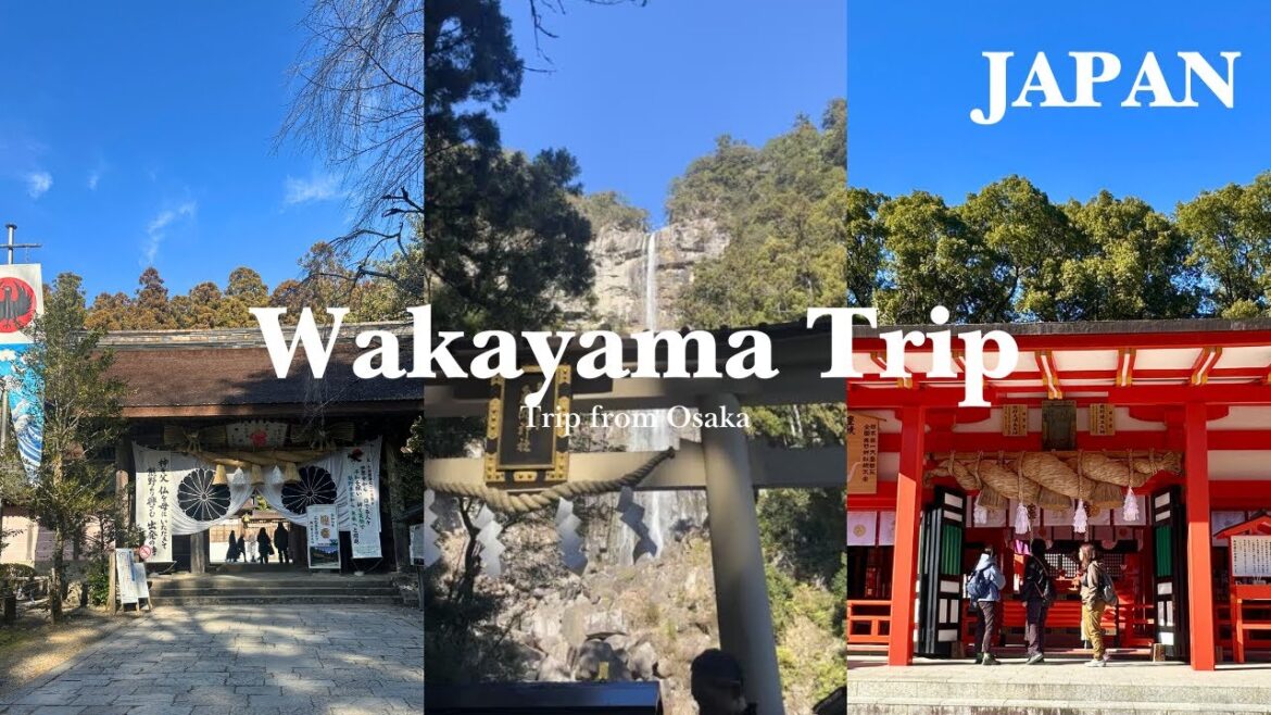 Wakayama | Trip from Osaka  ⛩️♨️🐟🌳
