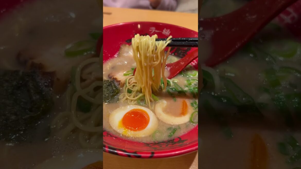 【OSAKA】Must-Try Japanese Creamy Ramen- Zundoya