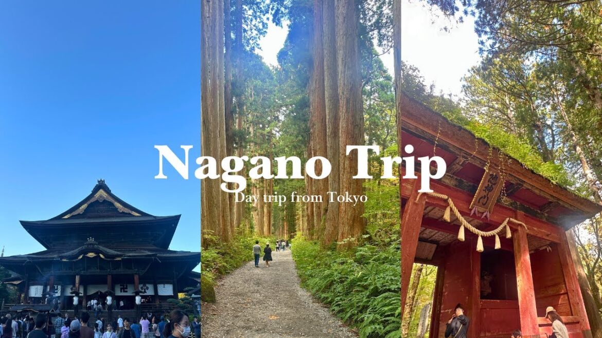 Trip to Nagano🍎 | Shrine & Temple & Onsen & Food Trip to Nagano🍎 | Shrine & Temple & Onsen & Food