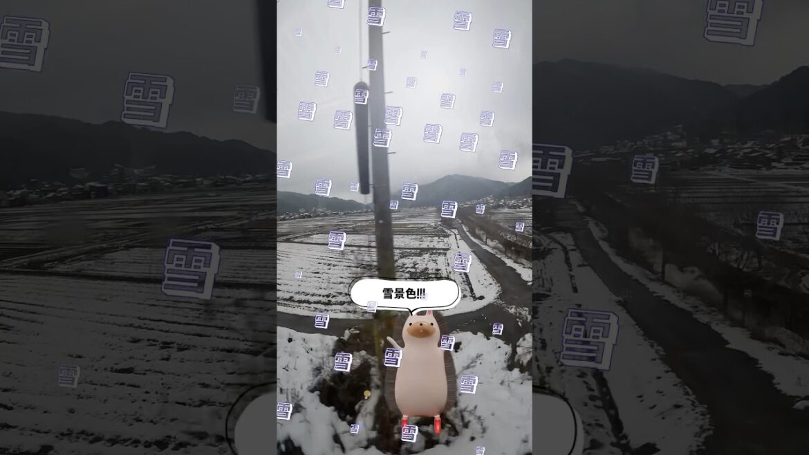 名古屋から高山までの電車旅「特急ひだ」のグリーン車は快適だった【こつくわの観光スポット紹介』#shorts #特急ひだ