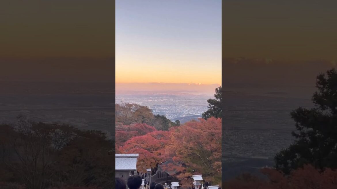 Yokohama City From Above: A Stunning Aerial View