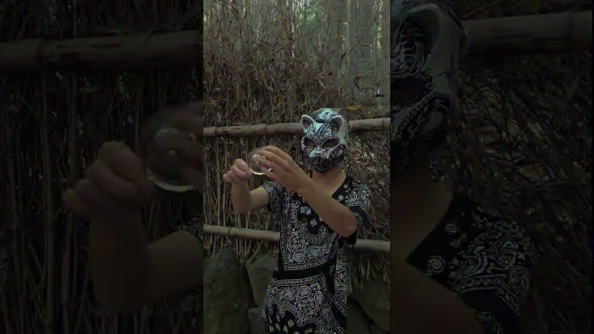 ARASHIYAMA BAMBOO FOREST, JAPAN 🍃❤️  #arashiyama #bambooforest #kyoto #kyototrip #japanvlog