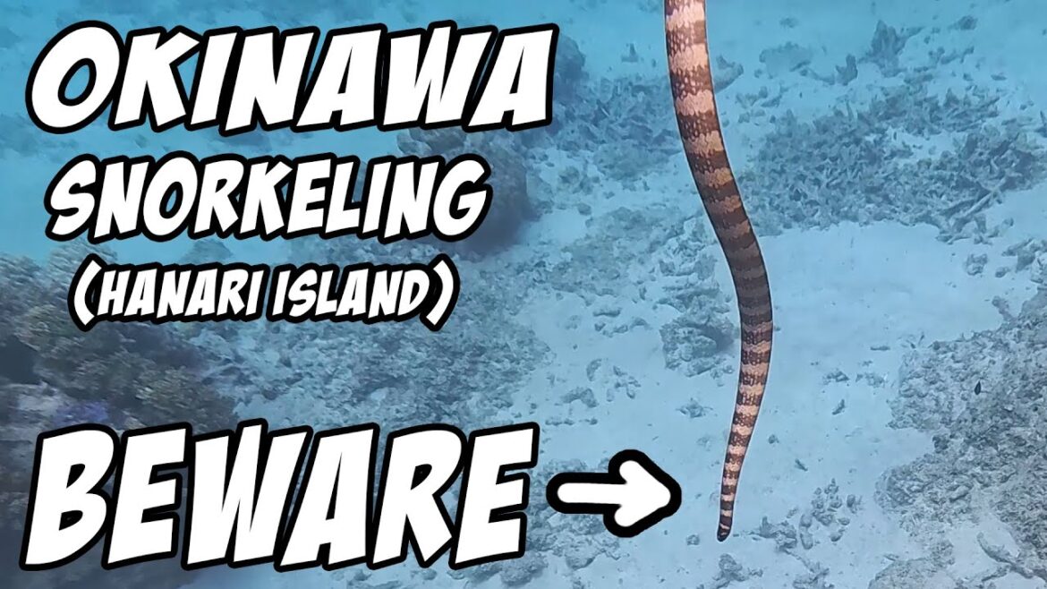 Snorkeling Hanari Island, Aharen Beach, Okinawa, Japan Snorkeling Hanari Island, Aharen Beach, Okinawa, Japan