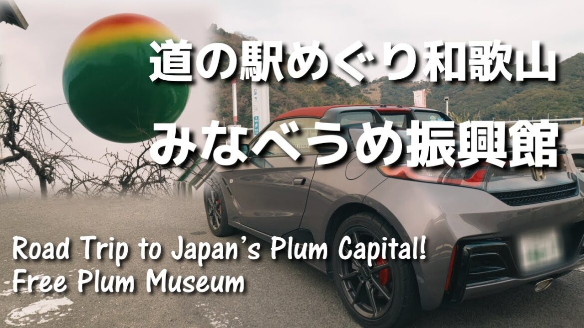 和歌山県の道の駅みなべうめ振興館。和歌山の梅干しを買うなら寄りたい場所【道の駅めぐり和歌山県】S660ドライブ