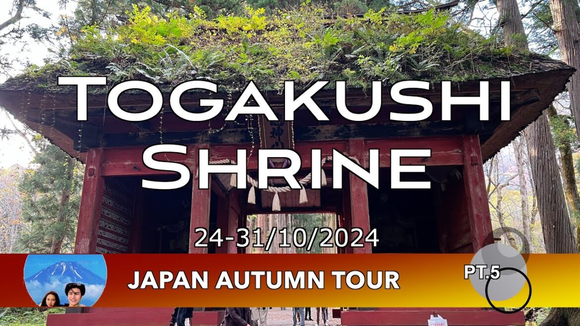 Togakushi Shrine : Japan Autumn Tour Pt.5