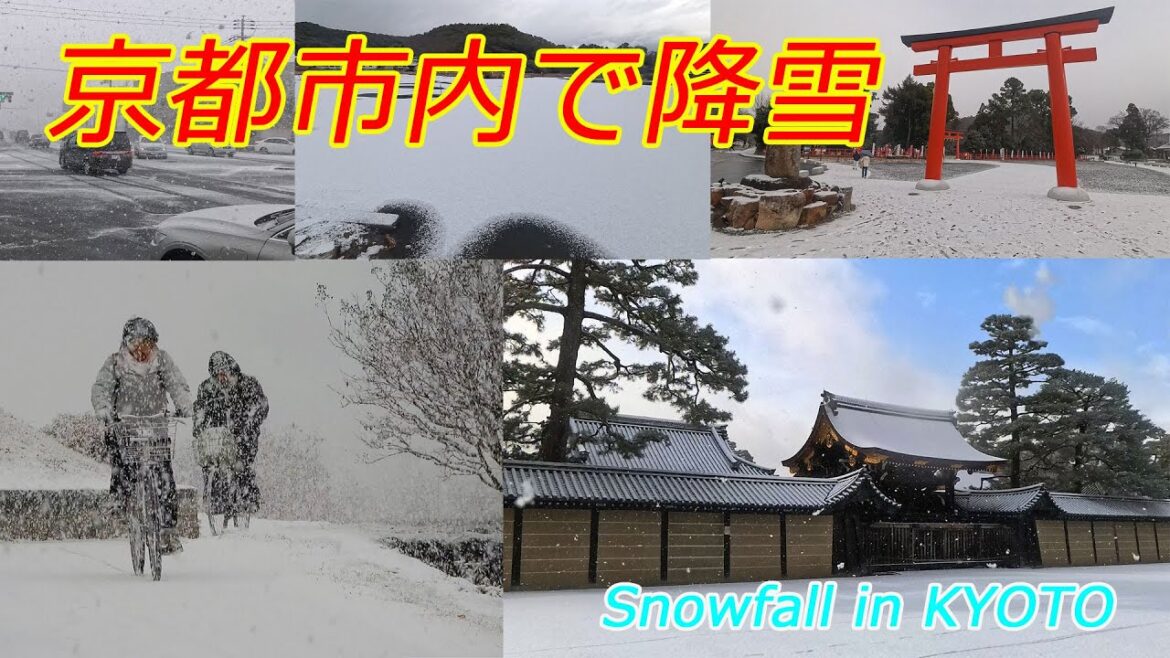 【京都の雪】京都市内で降雪(2025年1月10日 京都市内) Snowfall in Kyoto city 【京都の雪】京都市内で降雪(2025年1月10日 京都市内) Snowfall in Kyoto city