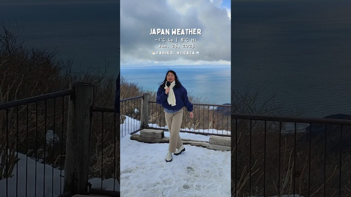 View from Mt. Yahiko in Niigata Japan #japantravel #traveljapan #japantips #traveltheworld #fyp