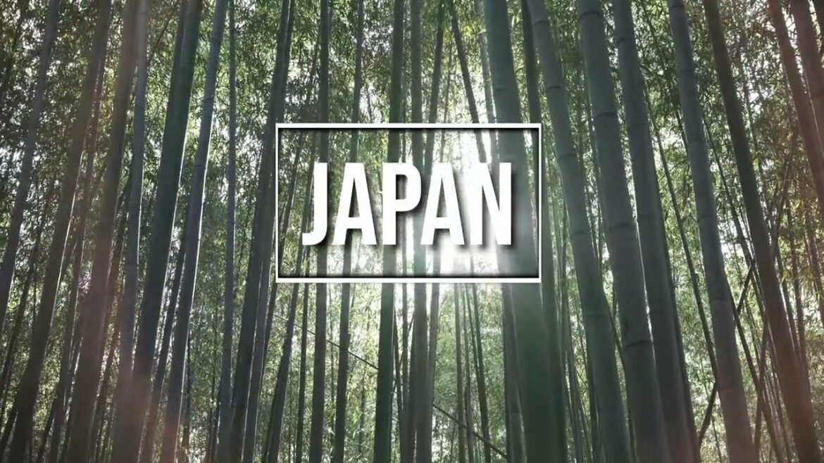 Japan Travel - No commentary. Sights and Sounds. [4K]