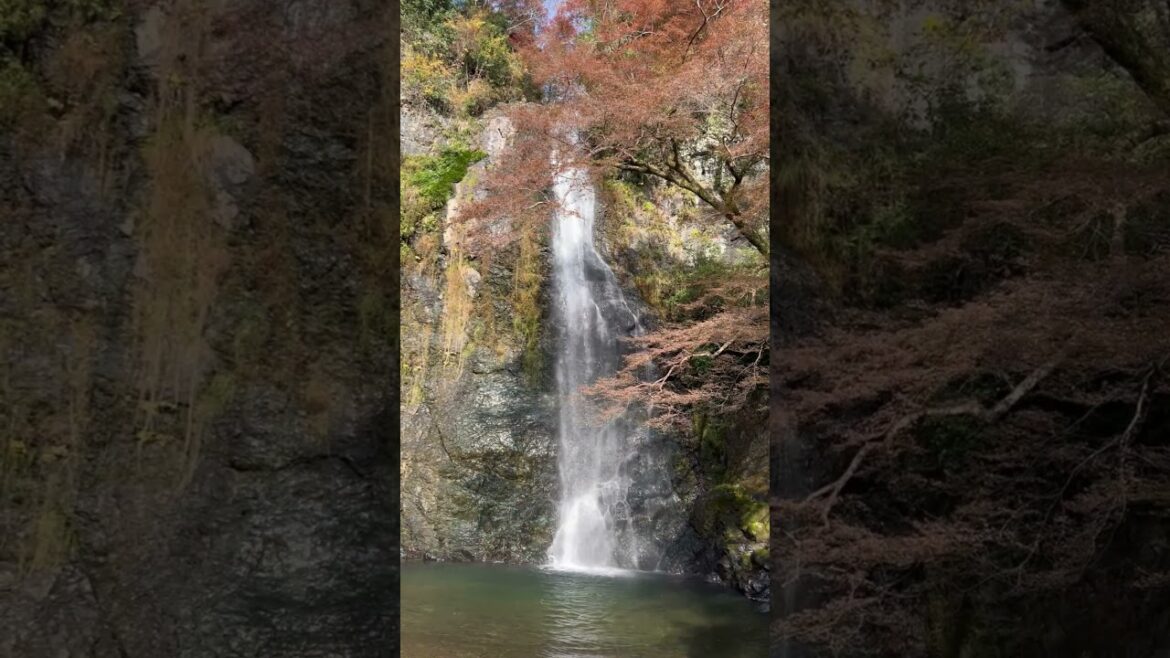 Waterfall #Osaka #japan #japantravel #travel #nature #relaxing #shorts