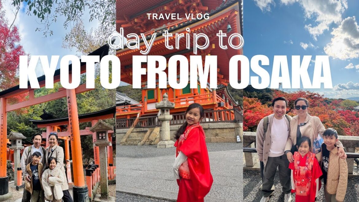 Travel Vlog | Day Trip to Kyoto from Osaka