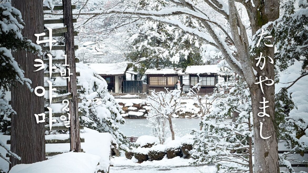 눈⛄ 덮인 일본 소도시 다카야마❄️의 하루 | 홋카이도 말고 나고야에서 즐기는 겨울 여행