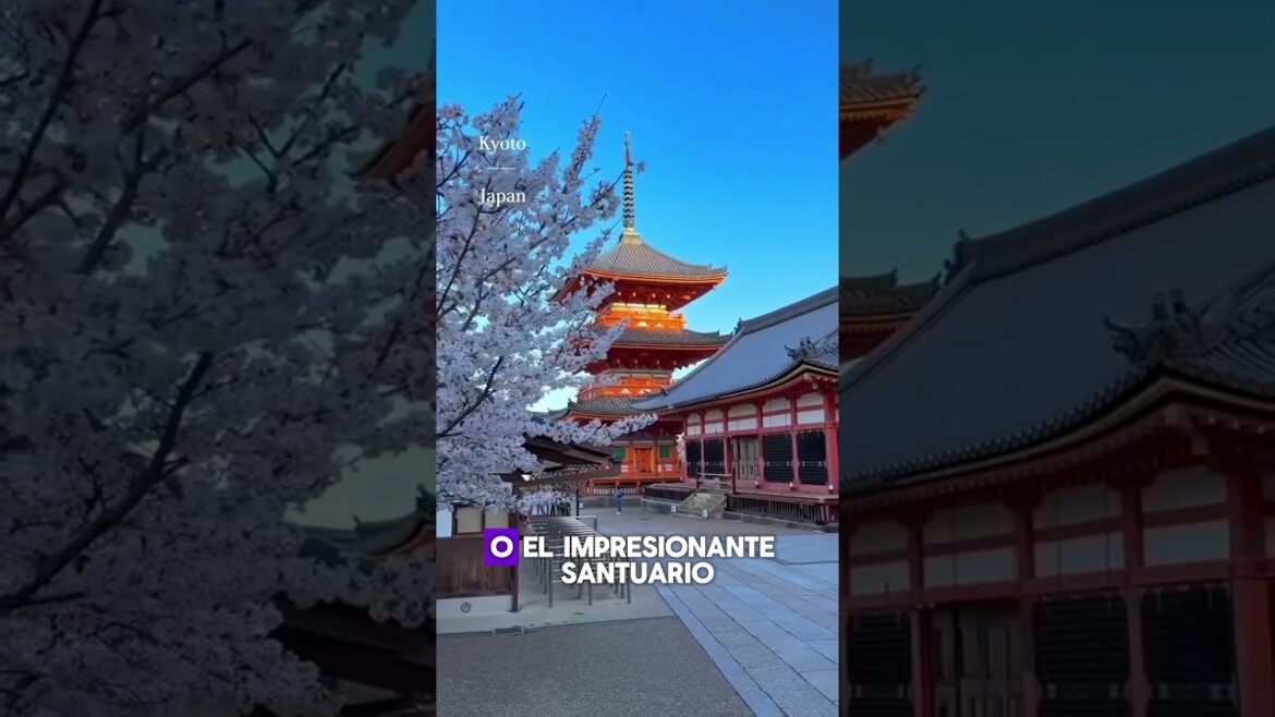 Curiosidades de Kioto: La joya cultural de Japón