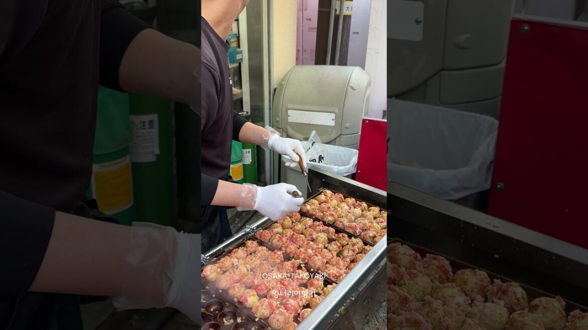 ★SHORTS036 오사카 3대 타코야키집을 찾은 뚱슐랭 ★osaka takoyaki #오사카 #타코야키 #osaka #takoyaki #japanesefood #japan ★SHORTS036 오사카 3대 타코야키집을 찾은 뚱슐랭 ★osaka takoyaki #오사카 #타코야키 #osaka #takoyaki #japanesefood #japan