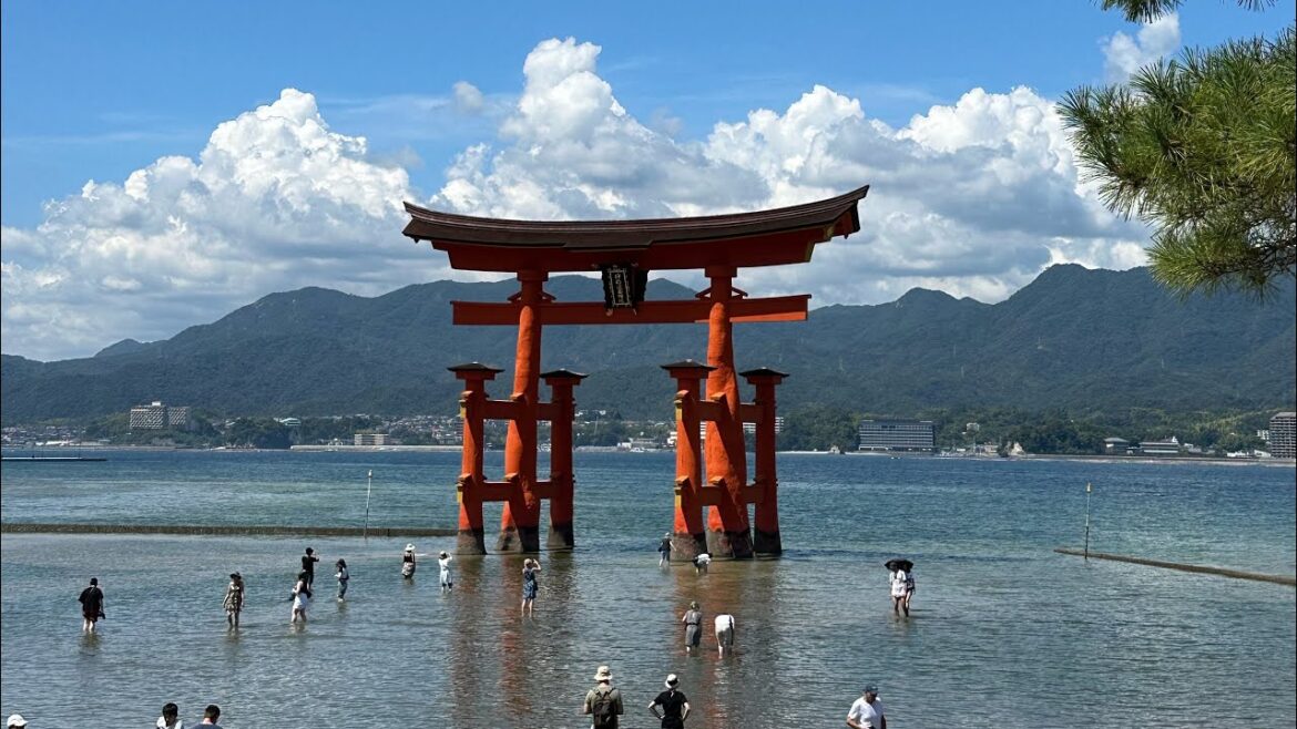 Tokyo ➡️ Hiroshima ➡️ Miyajima Island 2024