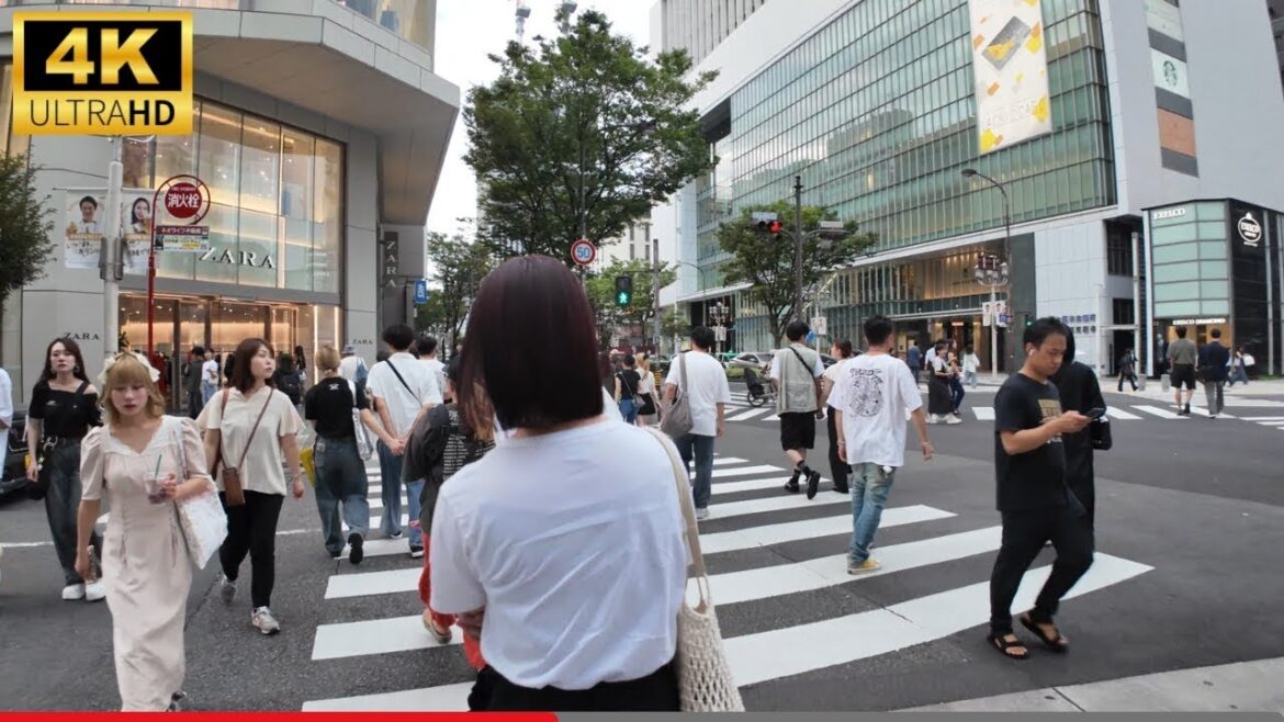 Japan: Sakae Streets in Nagoya | 4K Walking Tour Japan: Sakae Streets in Nagoya | 4K Walking Tour