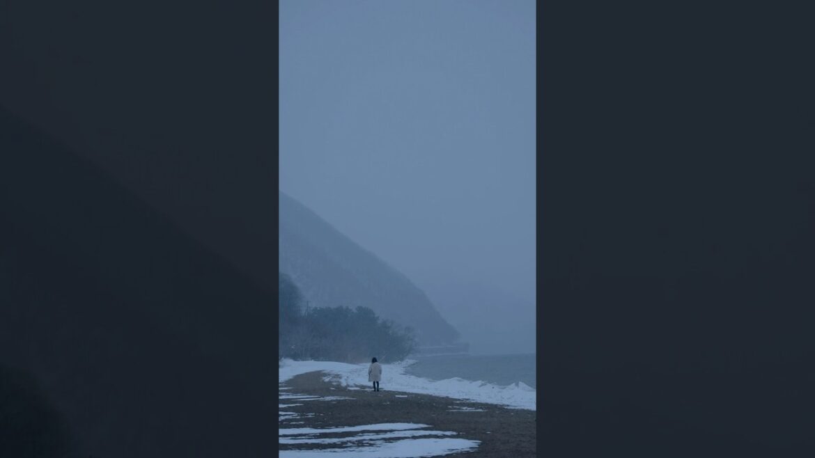 What do I see in Fukushima on a snowy day? #sontungst #snow #fukushima #japan