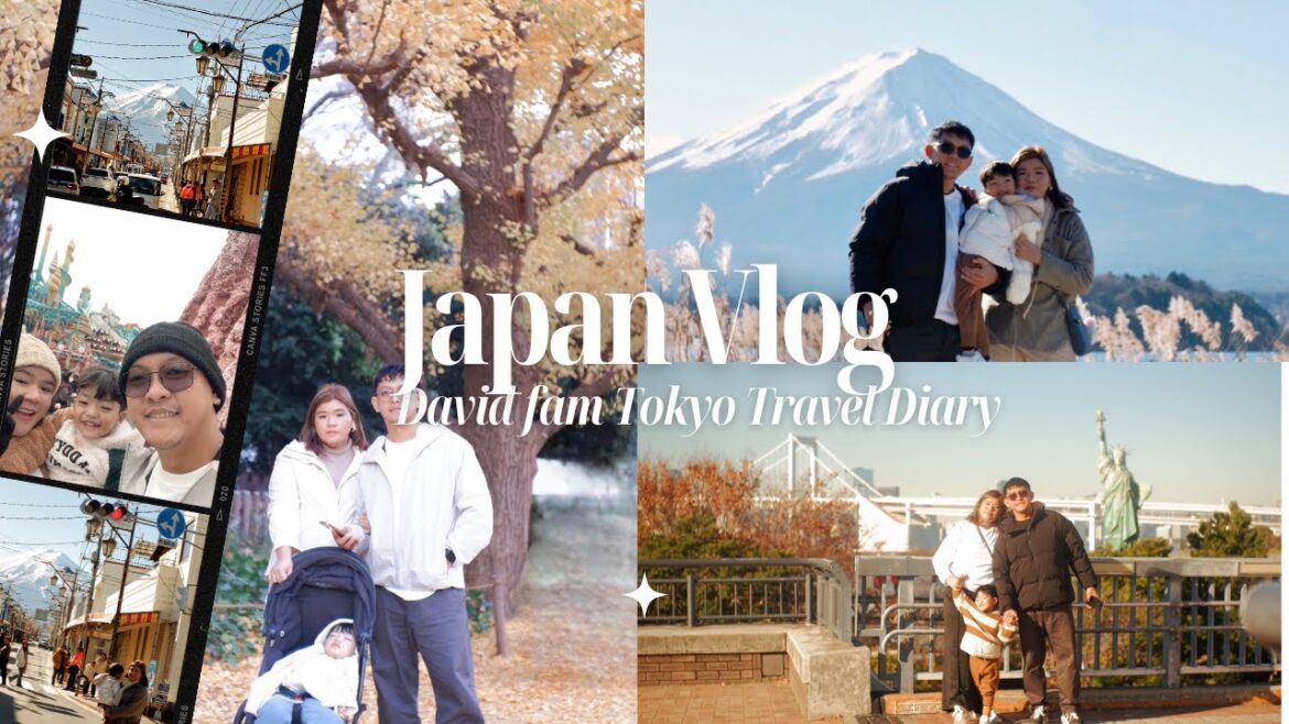 Japan Late Autumn/Winter Family Trip, Mt. Fuji Day Tour, Tokyo Disneysea, Traveling with a toddler