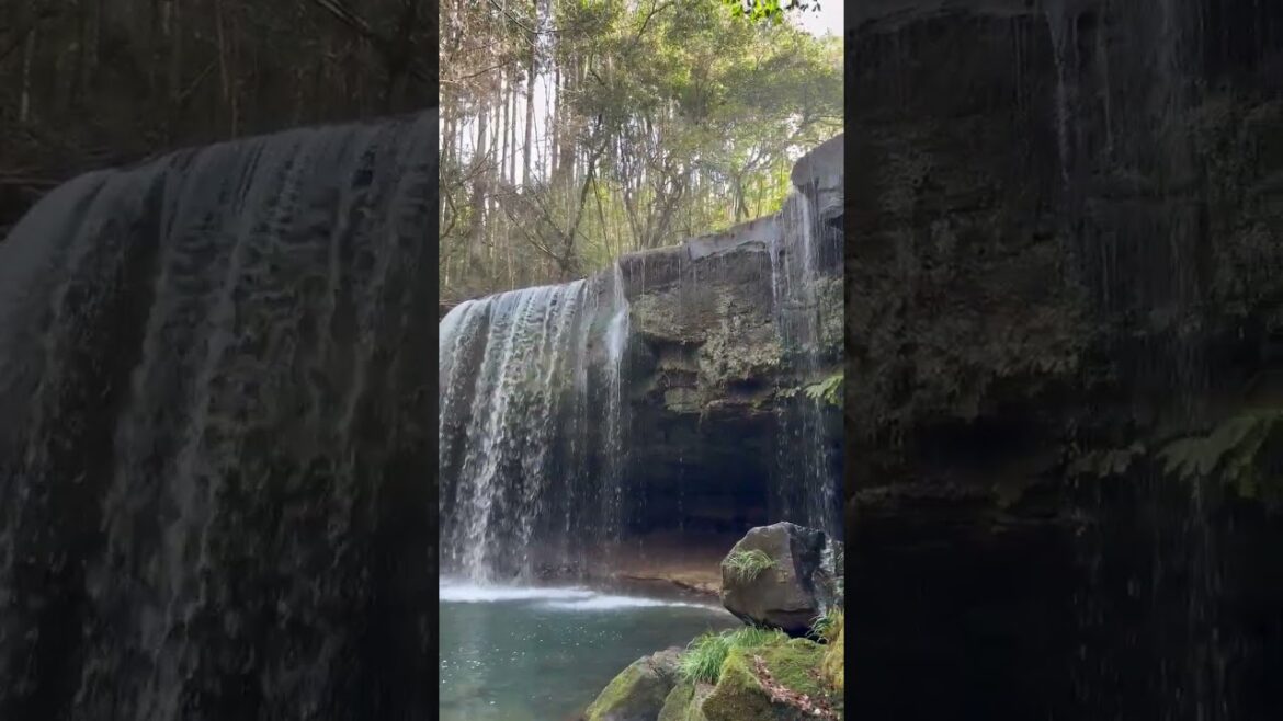 鍋瀑布 鍋ケ滝 나베가타키 Nabegataki #shorts #japan #旅行 #Waterfall #travel #kumamoto #Kyushu