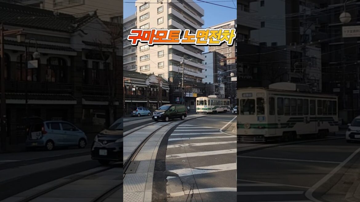 #shorts #구마모토 #구마모토여행 #구독 I 구마모토에서 보는 노면전차🚋 I