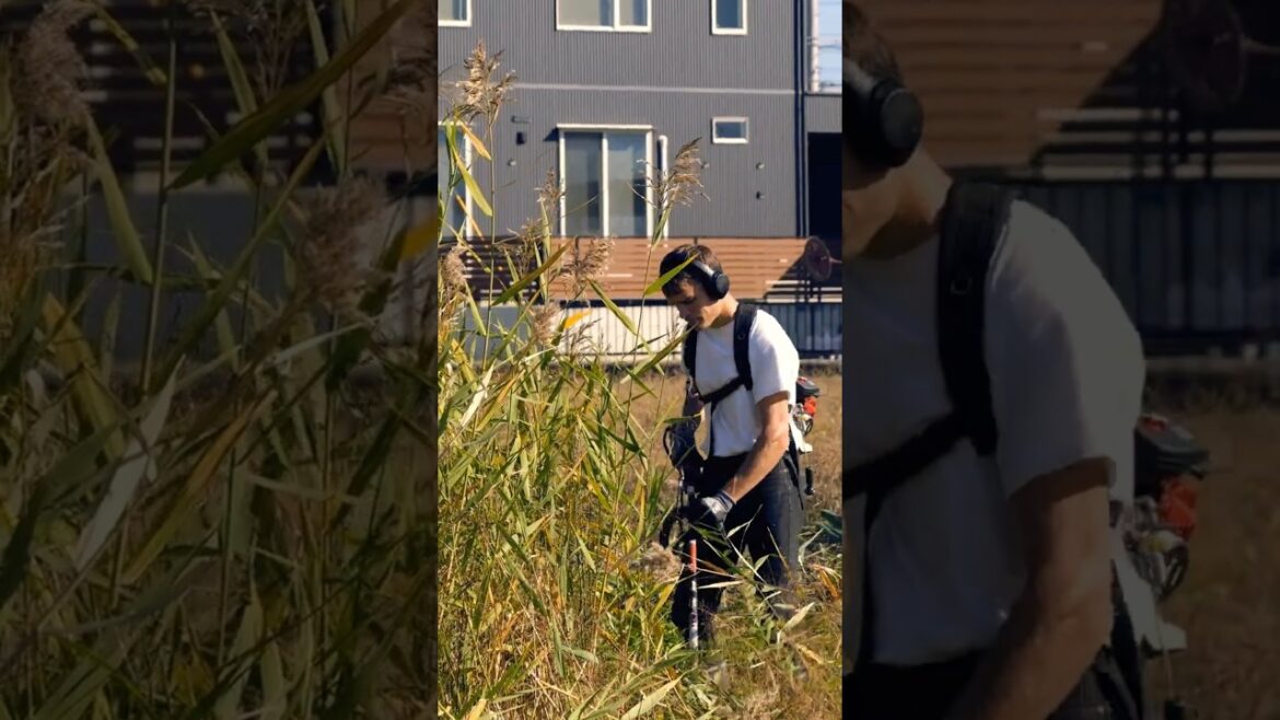 Wwoof in Japan - Japan Trip 8  #japantrip #japanlife #trip #takayama #vlog #travel