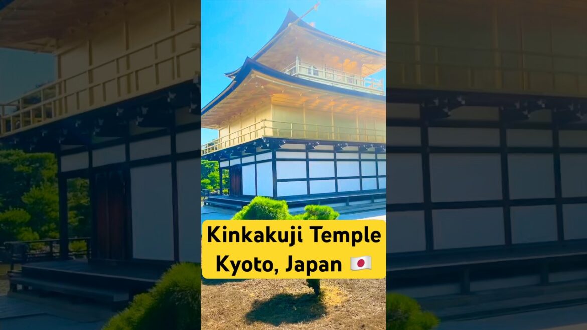 Kinkakuji Temple | Golden Temple Kyoto, Japan ๐ฏ๐ต #shorts #temple #travel #japan #trending Kinkakuji Temple | Golden Temple Kyoto, Japan ๐ฏ๐ต #shorts #temple #travel #japan #trending