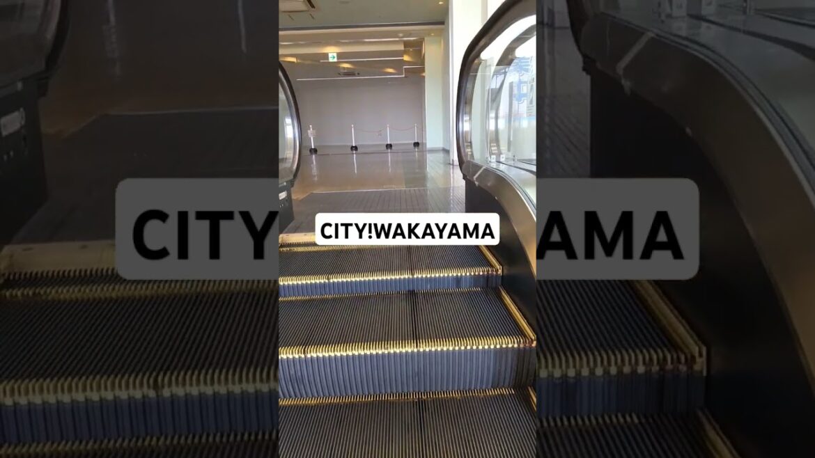CITY!WAKAYAMA