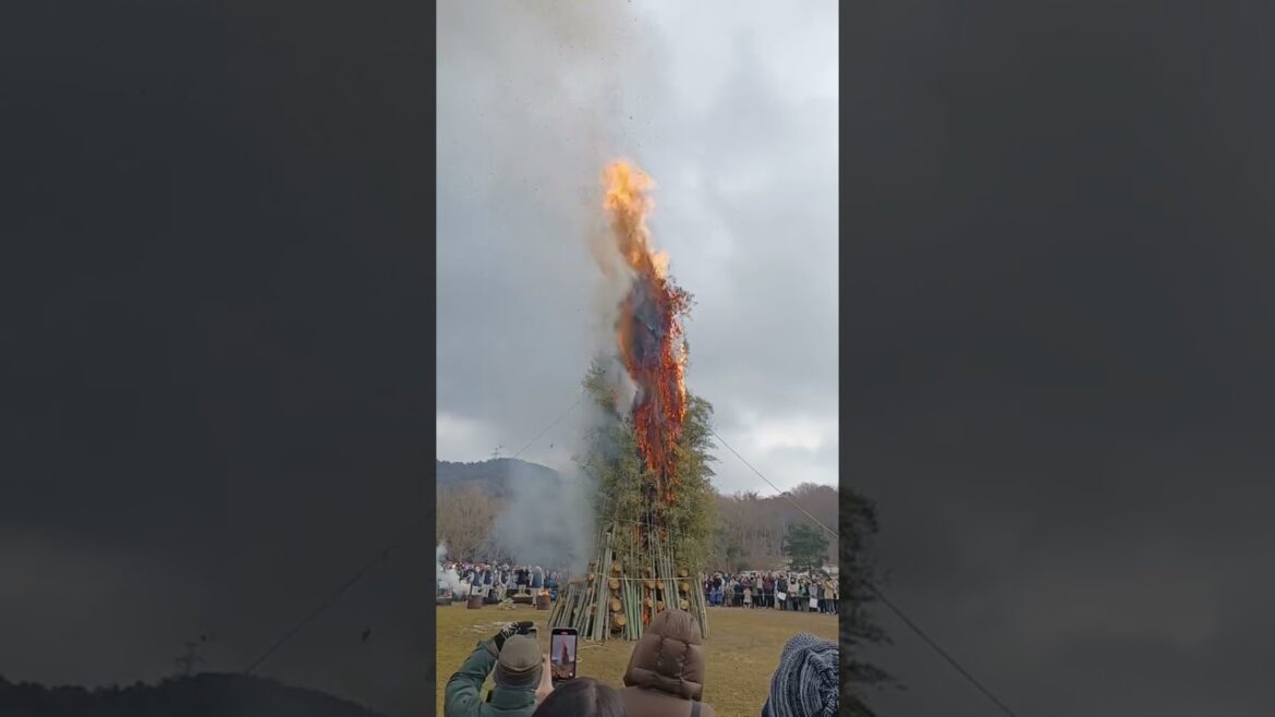 【Kobe】Japanese Culture Burning New Year’s Decorations - Municipal Arboretum