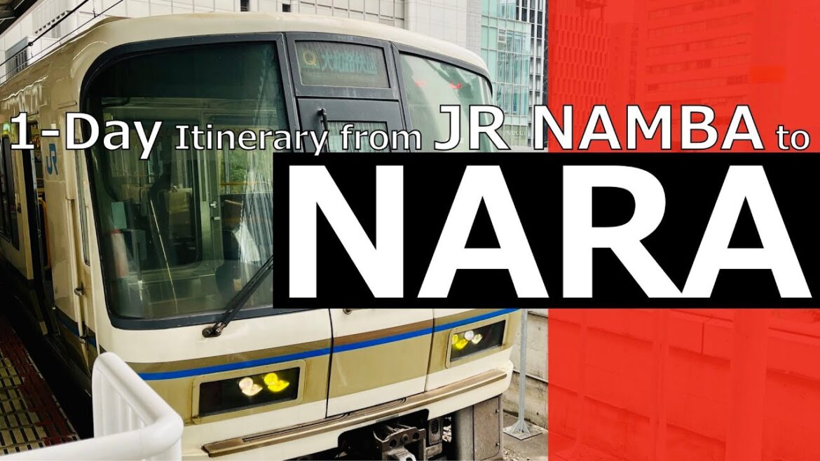 Day trip to Nara Itinerary from JR Namba Station │ Kofukuji, Todaiji and Horyuji