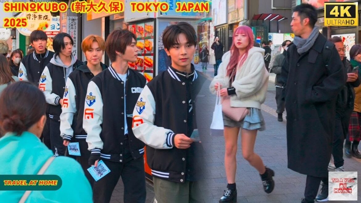 4k hdr Japan travel 2025 | Walk in ShinOkubo (新大久保) Tokyo Japan | Relaxing Natural City ambience 4k hdr Japan travel 2025 | Walk in ShinOkubo (新大久保) Tokyo Japan | Relaxing Natural City ambience