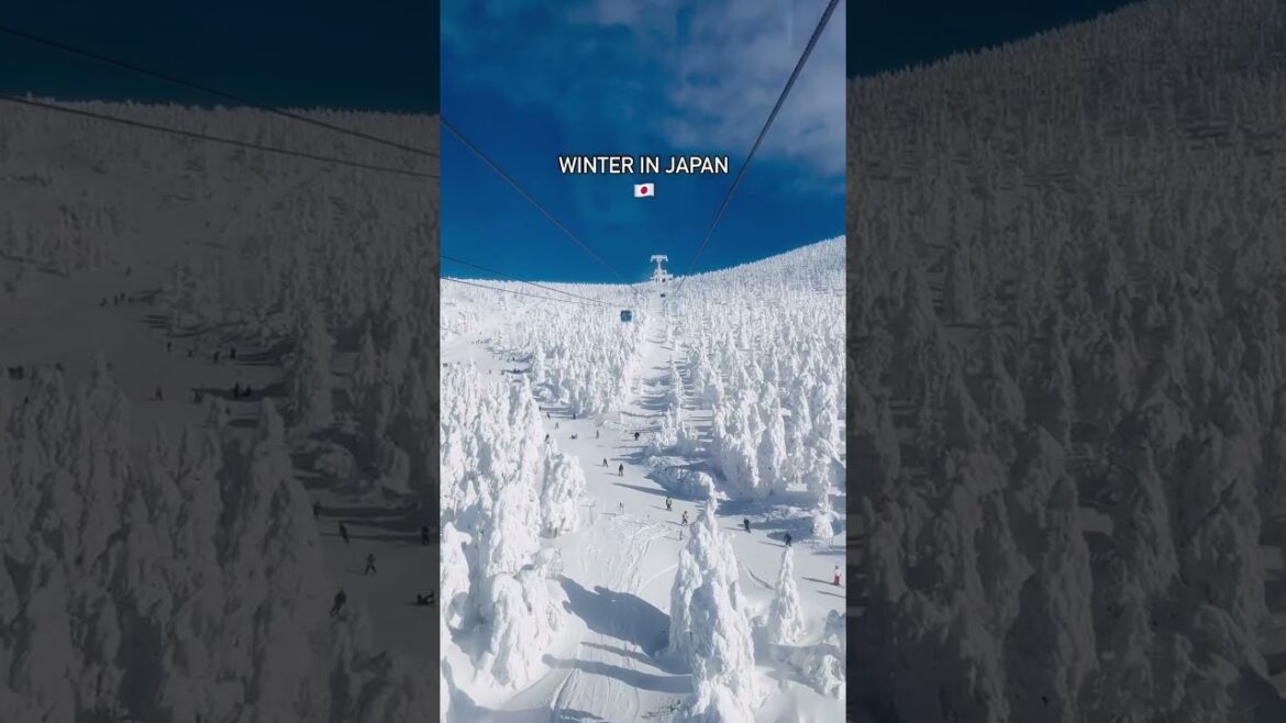 Snow Monsters in Yamagata, Japan 🇯🇵Tourism🏝 #shorts #travelling #beautiful Snow Monsters in Yamagata, Japan 🇯🇵Tourism🏝 #shorts #travelling #beautiful