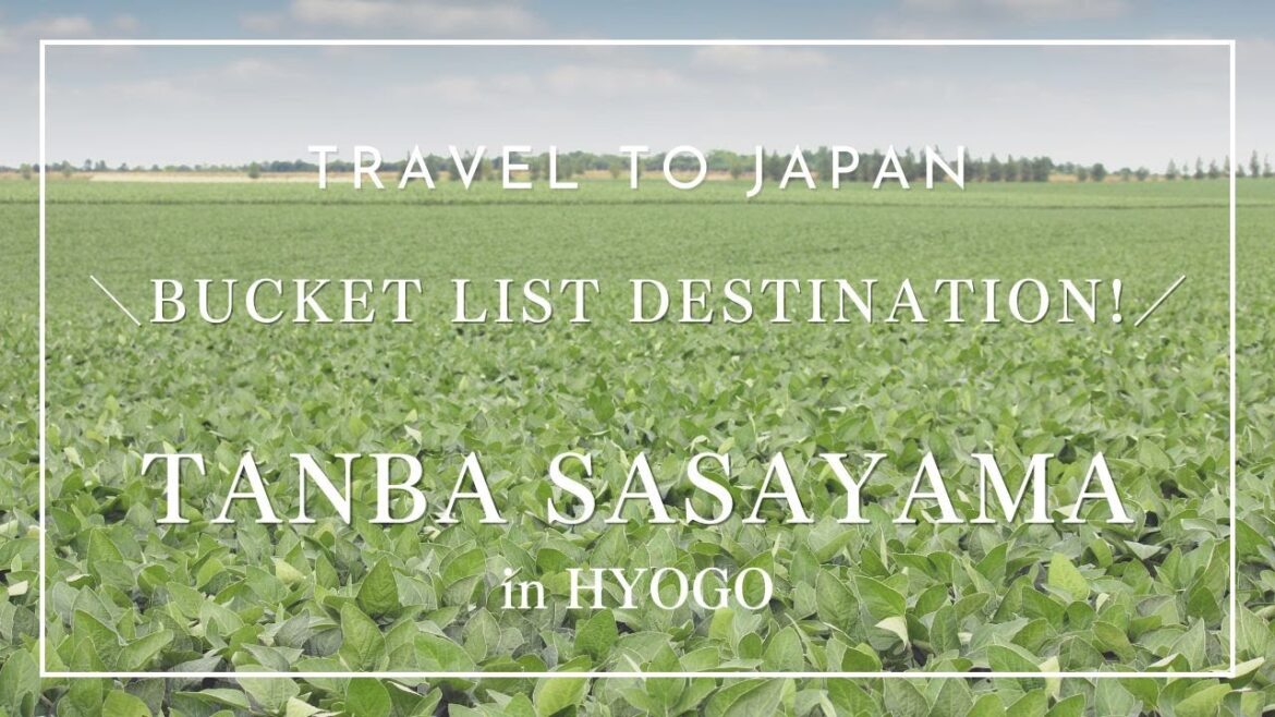 Exploring Tamba Sasayama: Japan's Hidden Gem - A Relaxing Day Trip from Hyogo #japantravel #hyogo