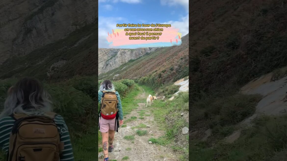 Faire le tour de l’Europe avec son chien 🐕 #tourdeurope #vanlifetravel #dogtravel #vanaménagé