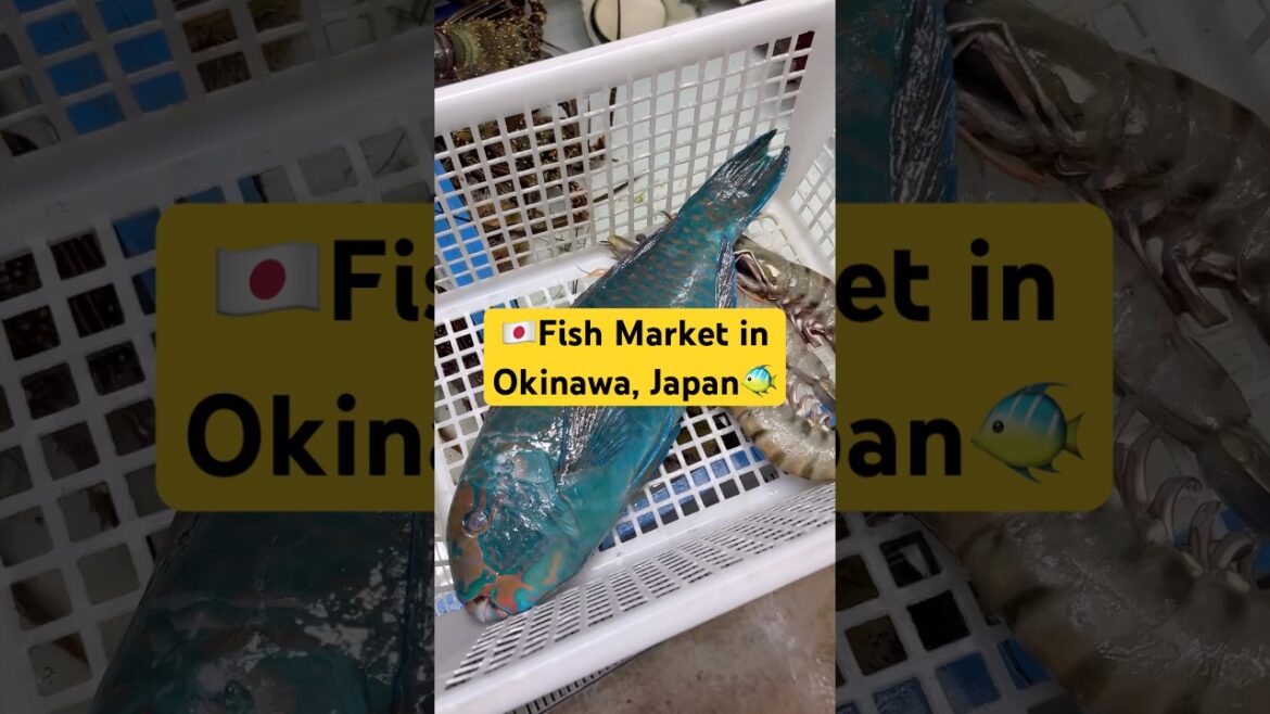 🇯🇵How to eat at Makishi Fish Market in Okinawa, Japan& how much it costs! #shorts #okinawa #travel