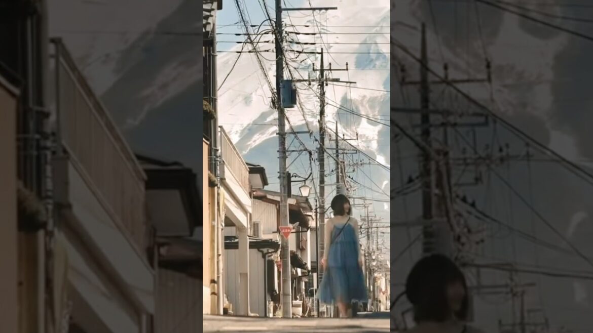 🦊 Snowy Mount Fuji. Shizuoka travel. Tokyo suburb travel. 🇯🇵