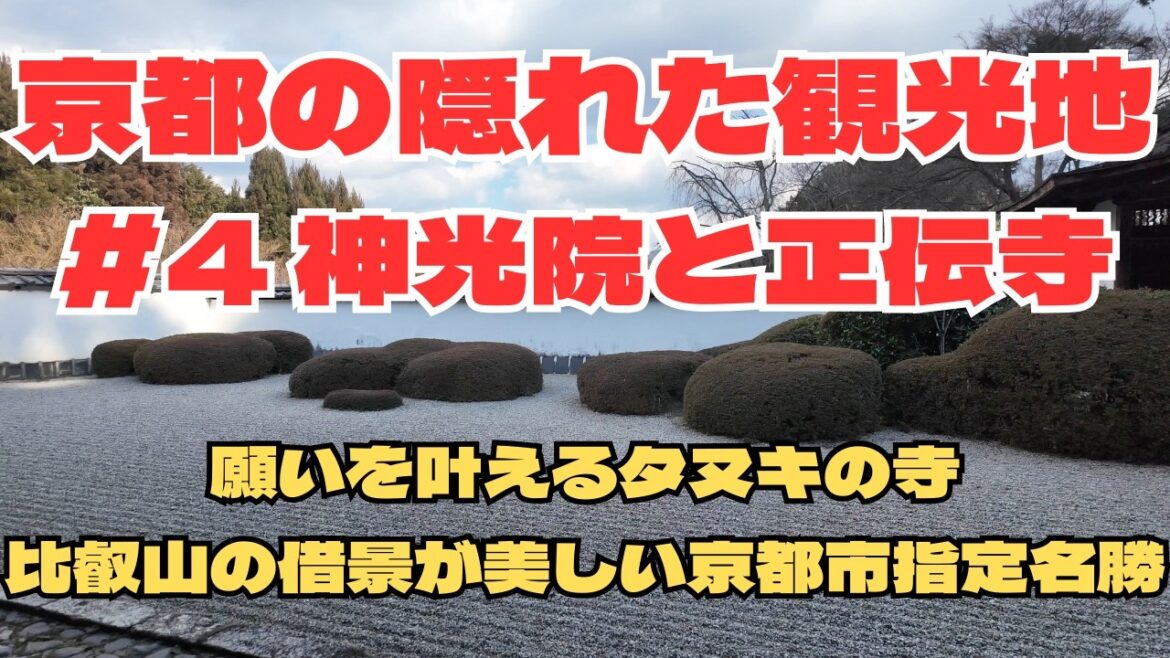 京都の隠れた観光地#4|上賀茂神社から歩いて行ける「神光院」と「正伝寺」 京都の隠れた観光地#4|上賀茂神社から歩いて行ける「神光院」と「正伝寺」