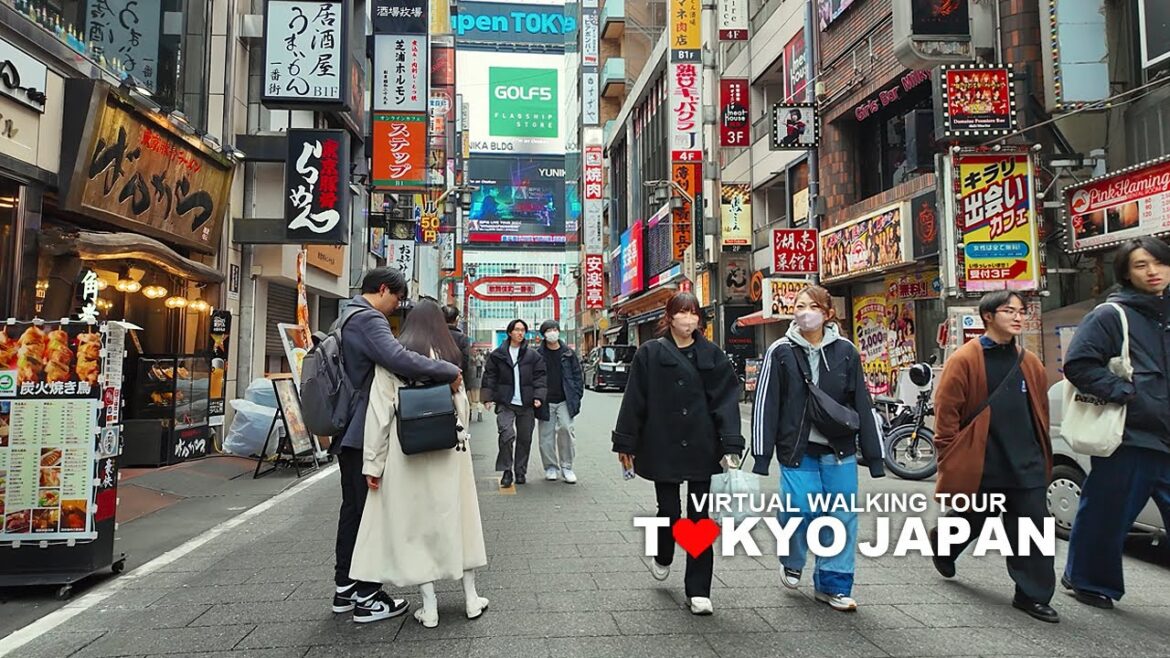 TOKYO JAPAN, Walk in Shinjuku, Kabukicho, Travel, 4K TOKYO JAPAN, Walk in Shinjuku, Kabukicho, Travel, 4K