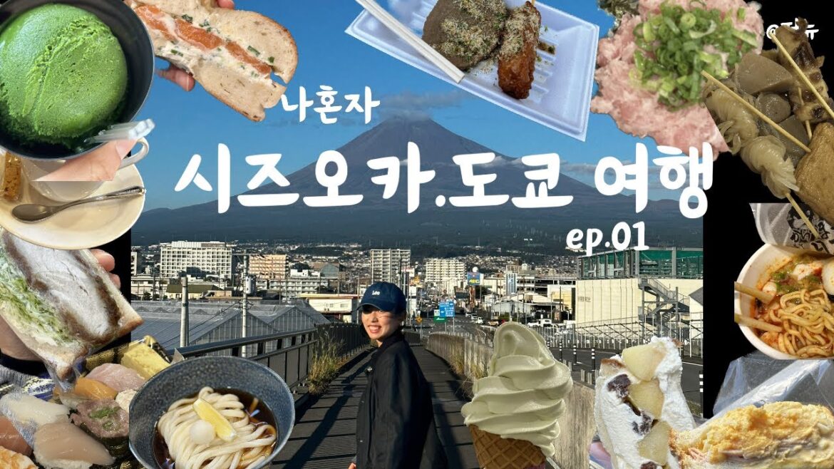 (日本語sub) 나혼자 시즈오카 여행 ep.1  | 시즈오카 구글 별점 5점 카페갔다가 현지인이 해주는 시즈오카 후지산 관광 투어 부터 후지산 관광명소 타누키호수 후지산 꿈의대교
