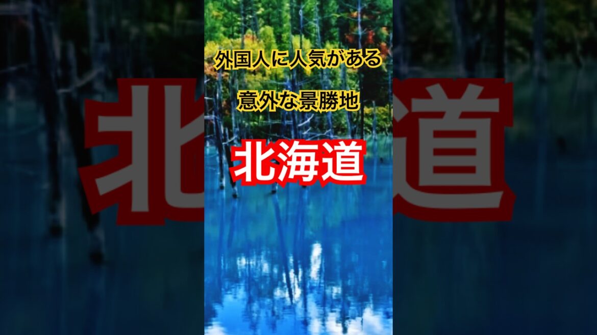 外国人に人気がある意外な景勝地 in 北海道　#旅行 #観光 #旅 #観光地 #グルメ #北海道