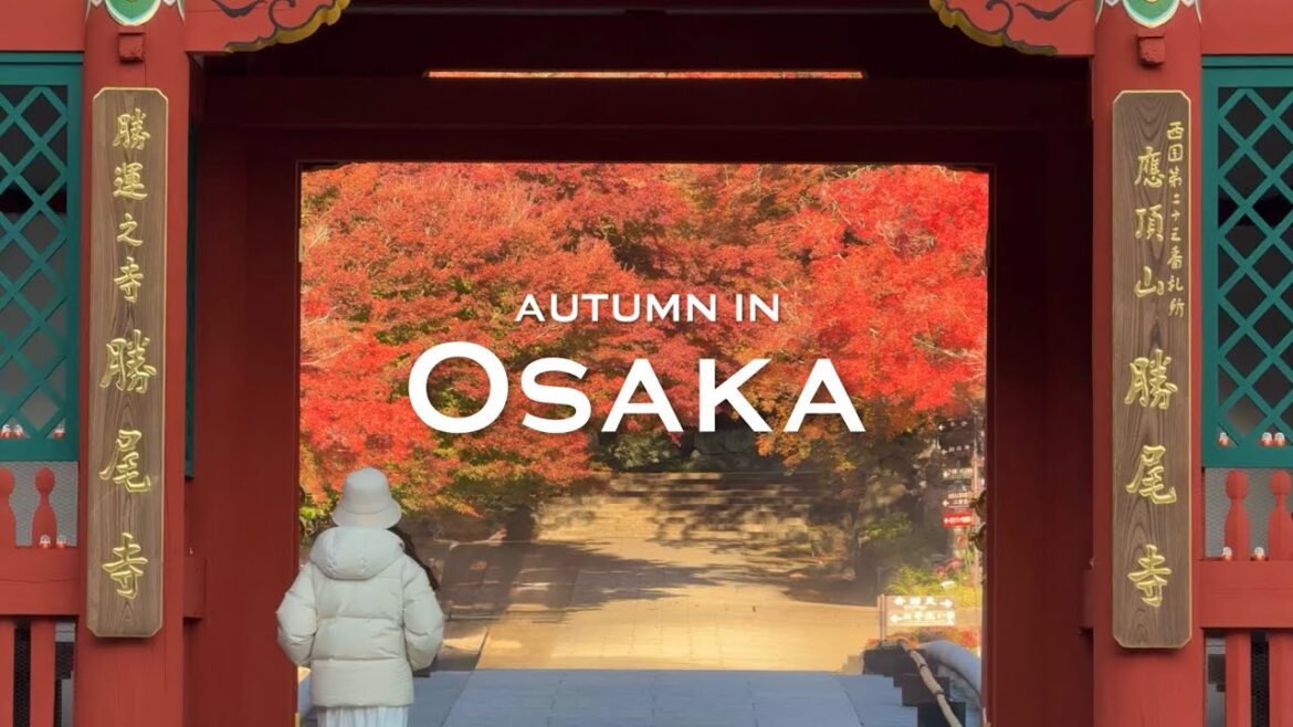 A day in Osaka during autumn 🍂 | minoh falls, katsuoji temple, red maple leaves | JAPAN vlog