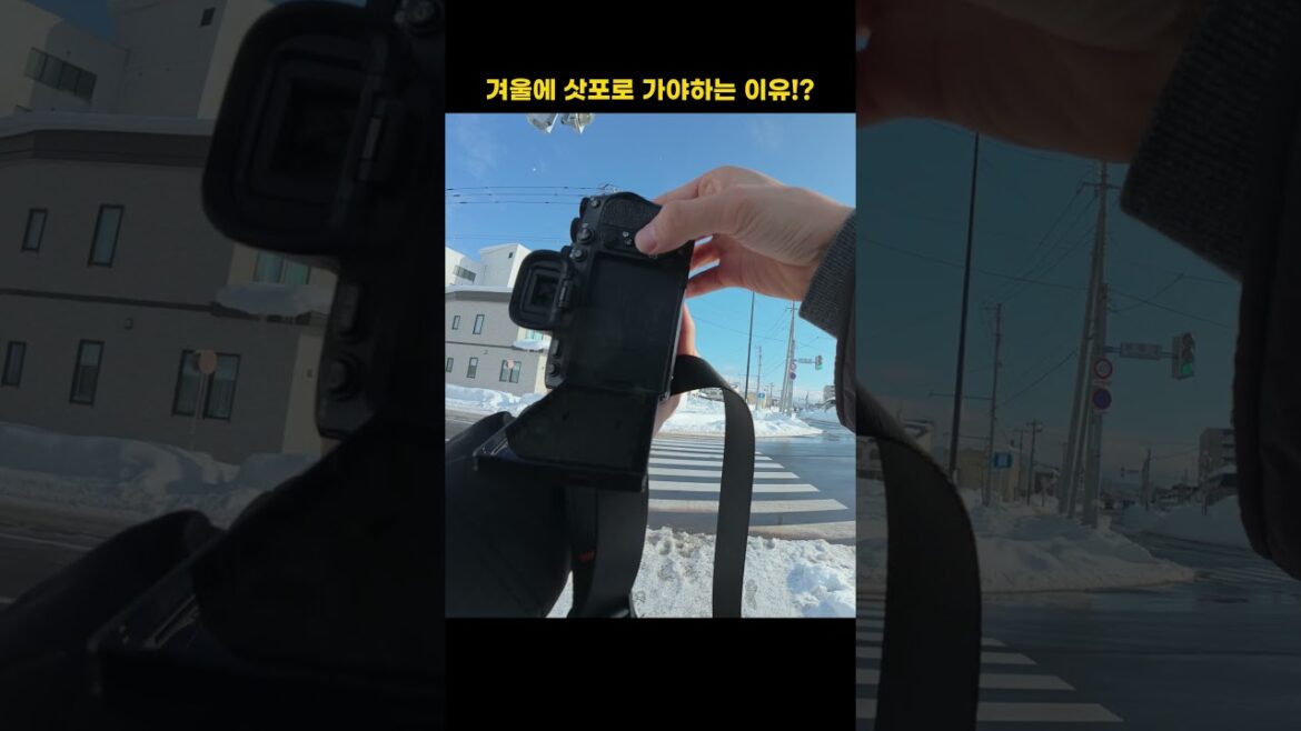 겨울에 삿포로 가야하는 이유!?