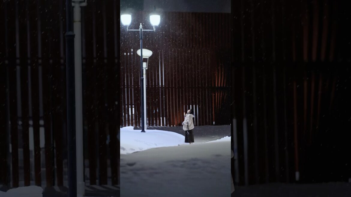 Tohoku night #sontungst #tohoku #japan #travel #akita #aomori