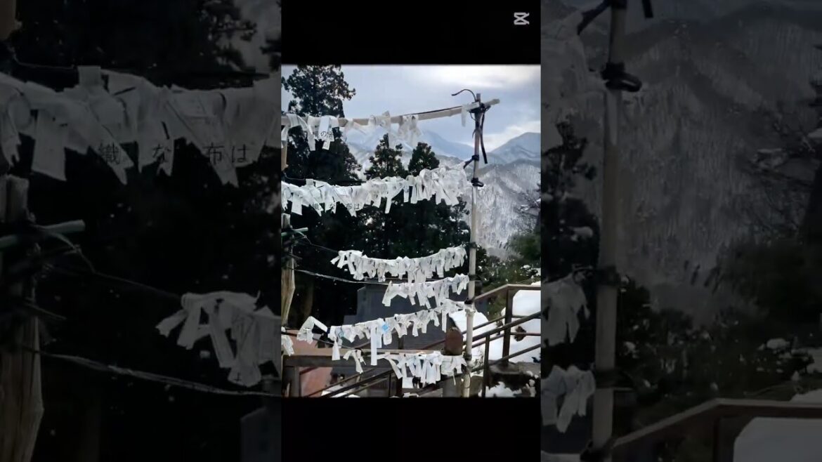 煩悩が消える1,015段😖😫😣