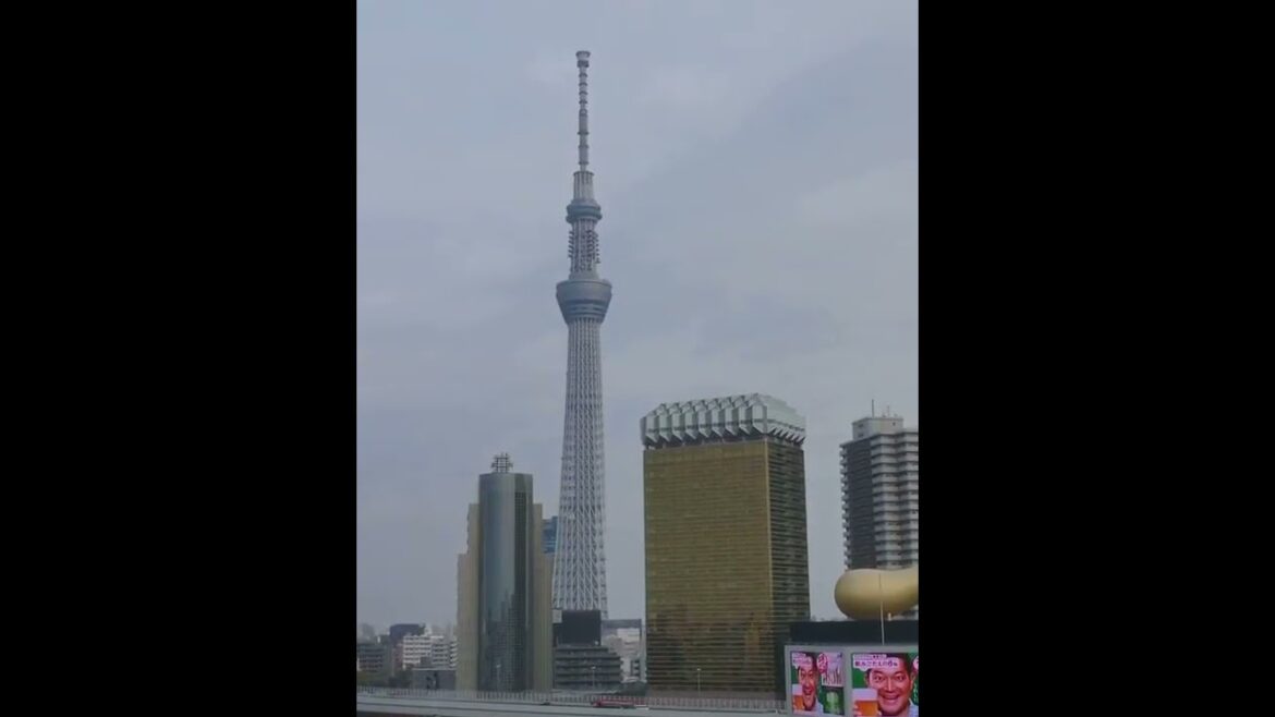 Top 10 EPIC Travel Destinations for 2024! Japan: Culture, Food & Beauty! #destination #japan #top10 Top 10 EPIC Travel Destinations for 2024! Japan: Culture, Food & Beauty! #destination #japan #top10