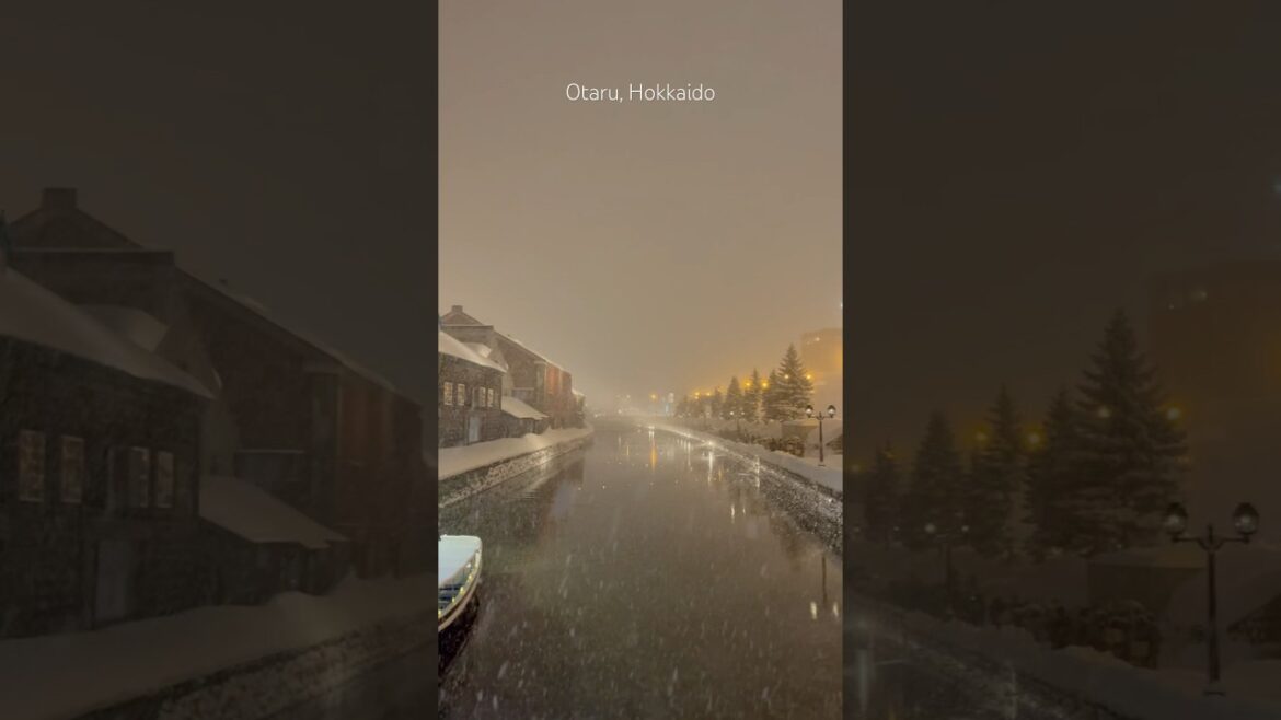 Otaru, Hokkaido ❄️🕯️✨🇯🇵 #otaru #hokkaido #snowday #winterwonderland #japanwinter #travel #snow Otaru, Hokkaido ❄️🕯️✨🇯🇵 #otaru #hokkaido #snowday #winterwonderland #japanwinter #travel #snow
