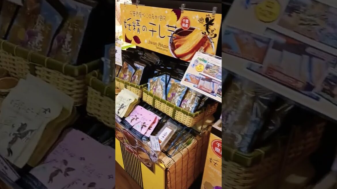 Japanese grocery store Chiba Japan travel video