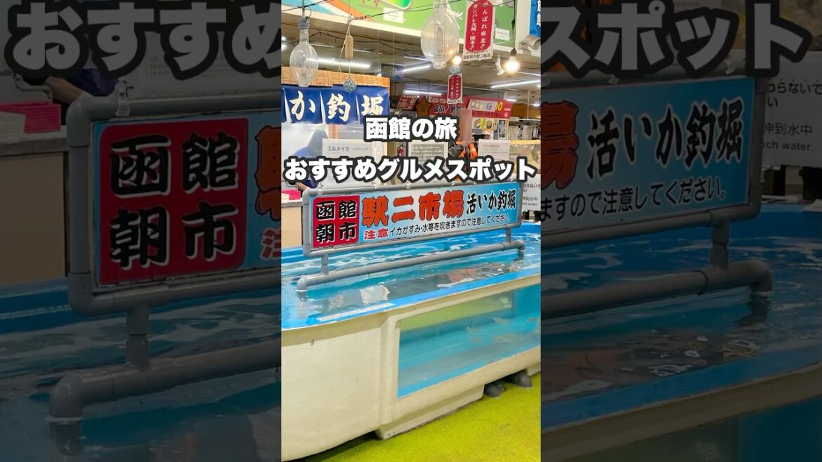 〔北海道グルメの旅〕絶対行くべきおすすめグルメスポット🦑(函館)