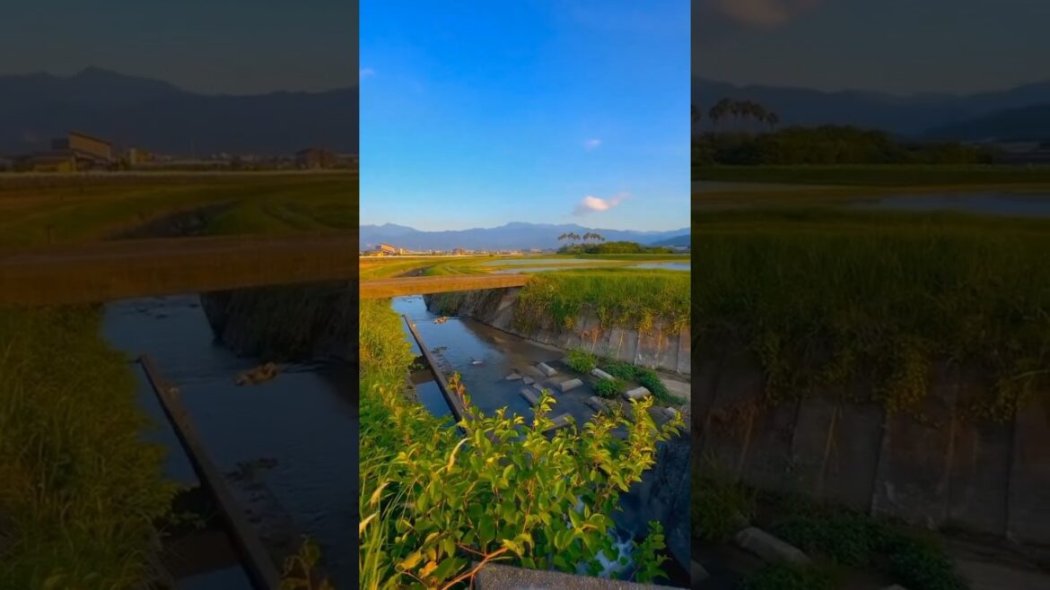 Exploring Yumesaki, Shikama District | Hidden Gem of Japan Exploring Yumesaki, Shikama District | Hidden Gem of Japan