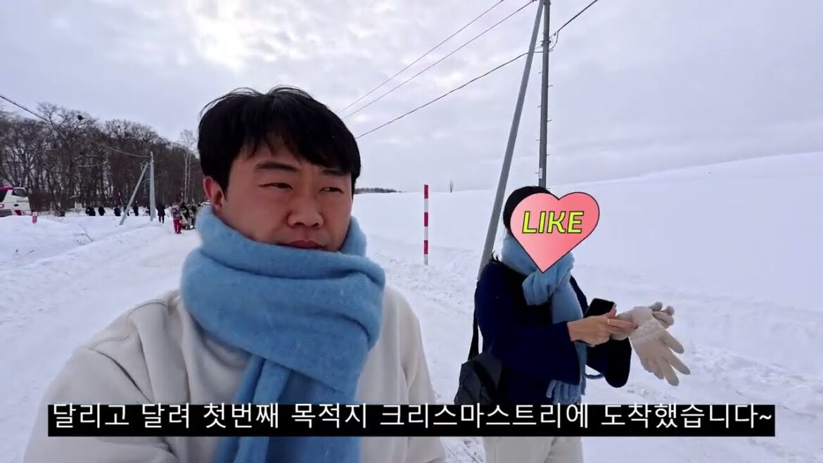 [황송합니다]홋카이도 여행 4일차, 삿포로에서 꼭 해야할 일, 비에이 투어, 크리스마스트리, 닝구르테라스, 야키니쿠 먹방,댄스챌린지 2탄, 재쓰비, 너와의 모든 순간
