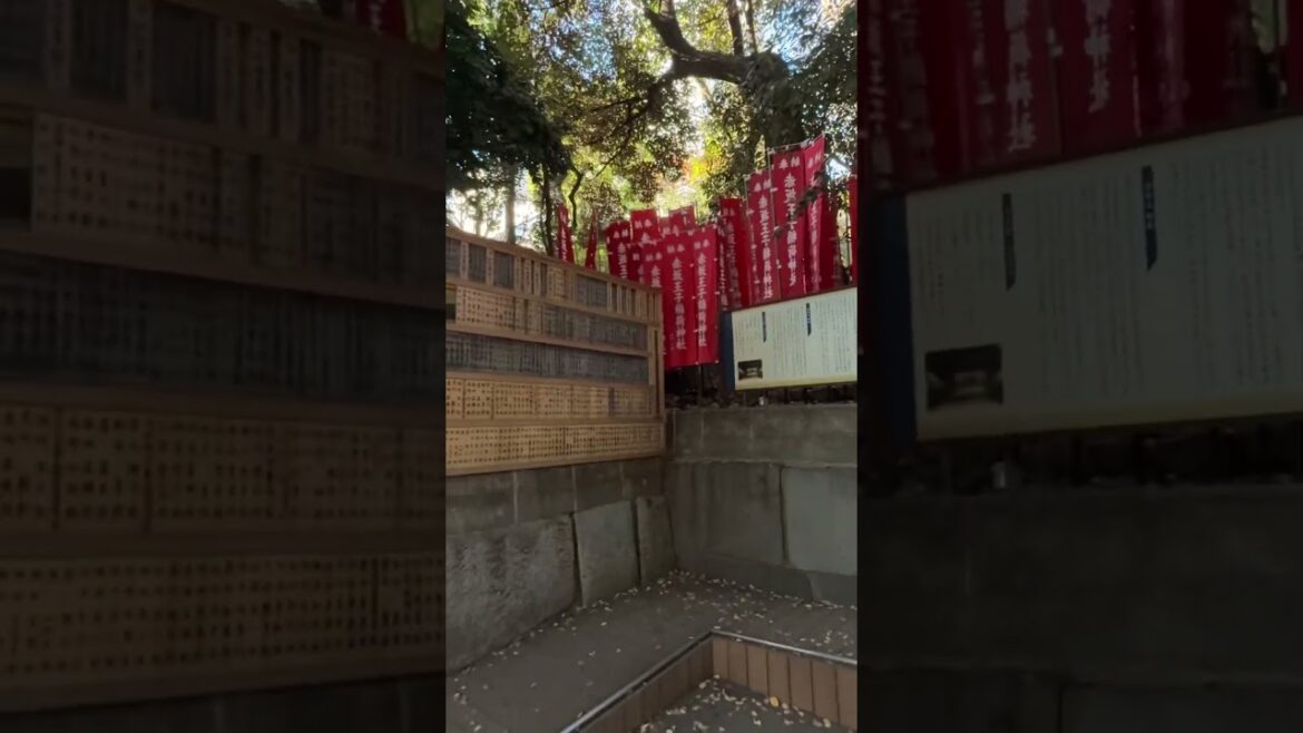 Beautiful Shrine in Tokyo Minato Area #japan #shrine #nogi #minato #tokyo #japantravel